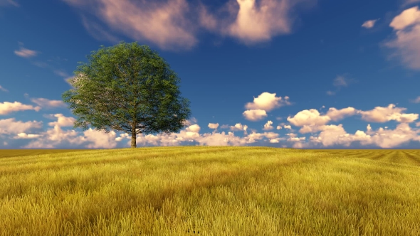 Green Tree on Field Windy Cloudy Sky alt
