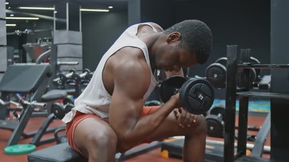 Young Muscular Afro Powerful Man Lifts Dumbbell Sits on a Bench