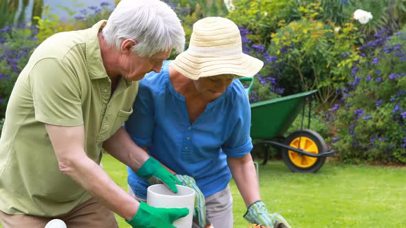 Senior couple gardening together in backyard