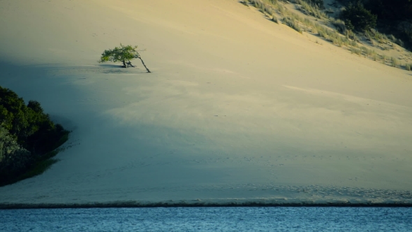 Sand Blowing Across Dunes with Single Tree and Water