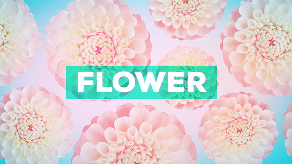 Flower Background alt