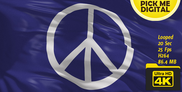 Peace Protest Flag 4K