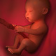 Baby Inside a Mother's Womb - VideoHive Item for Sale