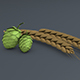 Hops & Barly - 3DOcean Item for Sale