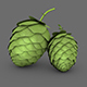 Hops - 3DOcean Item for Sale