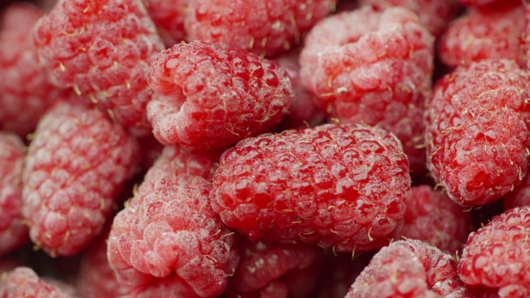 Juicy Red Raspberries, Spin