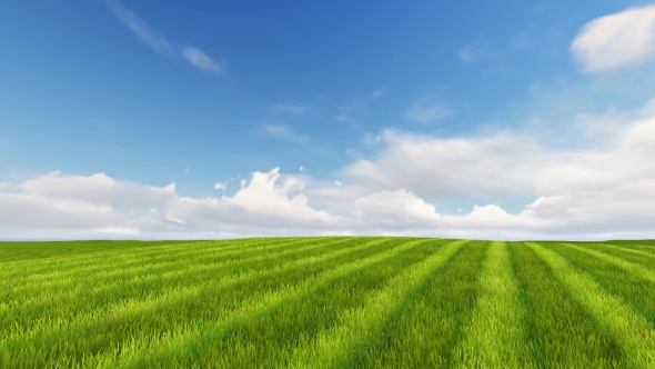 Green Field and Cloudy Sky 3D Render alt