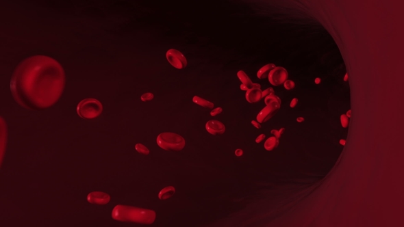 Blood Cells Traveling Through a Vein alt