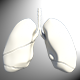 Low Poly Lungs Model - 3DOcean Item for Sale
