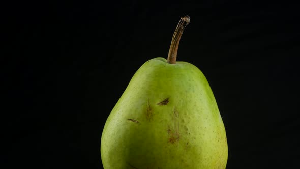 Green packham pear.