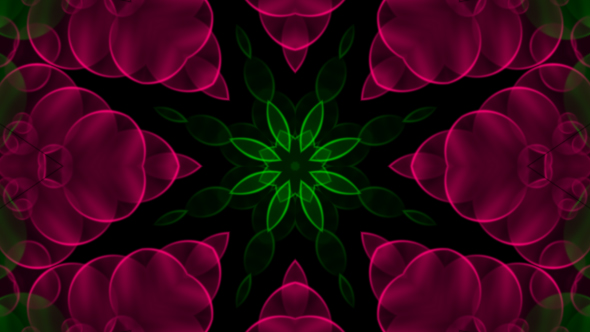 Pink Flower Kaleidoscope Loop V5 alt