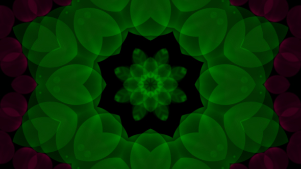 Pink Flower Kaleidoscope Loop V8 alt