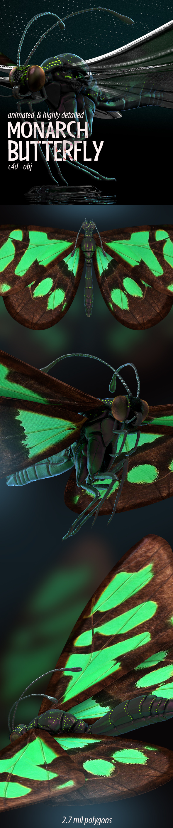 Butterfly Flapping Wings 3D Model