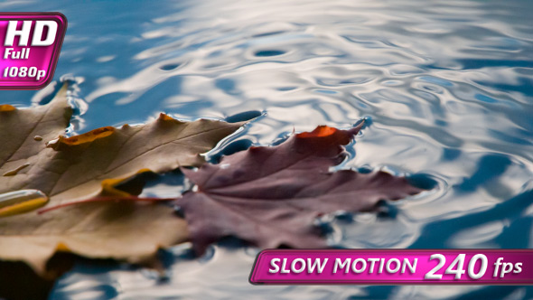 Sad Autumn Paints alt