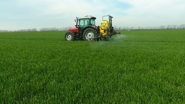 The Protection of Plants by Tractor Spraying a Green Wheat Field