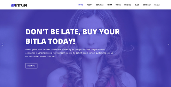 Bitla - Multipurpose Responsive Template