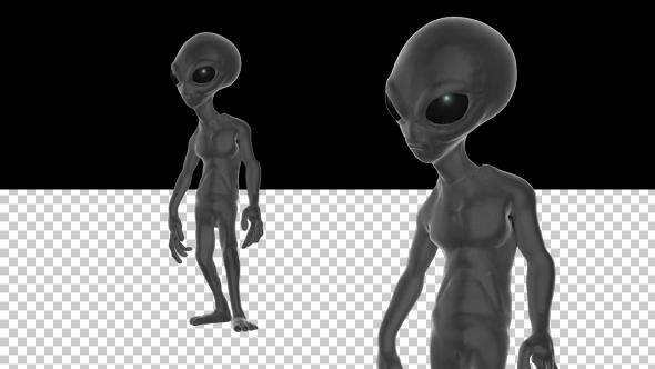Grey Alien alt