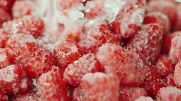 A Stream of Water Pours on Raspberries