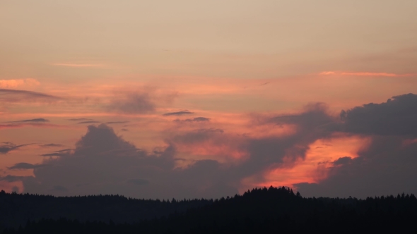 Clouds in Sunset and Over Tops Fir Trees.