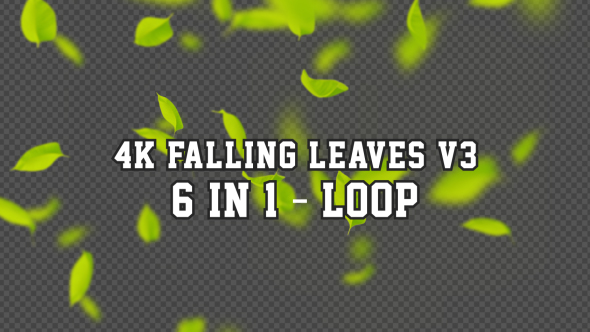 4K Falling Leaves V3 6 in 1 alt