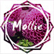 Mollie - Beautiful and Responsive WordPress Blog Theme - ThemeForest Item for Sale