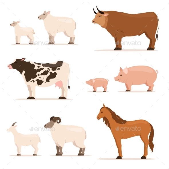 Animals on Farm. Lamb, Piglet, Cow and Sheep, Goat