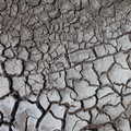 Dry cracked ground - PhotoDune Item for Sale
