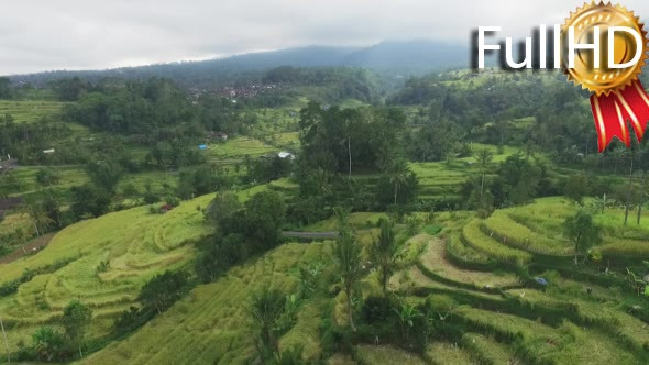 View from Above on Rice Terraces and Fields