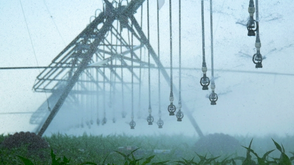 Watering the Cornfield with a Sprinkler