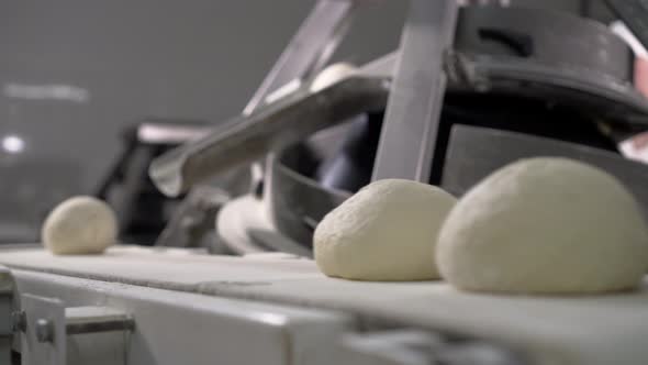 Making a Loaf of Bread in the Bakery. Loaf of Bread on the Production Line in the Baking Industry