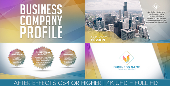 Business Company Profile alt