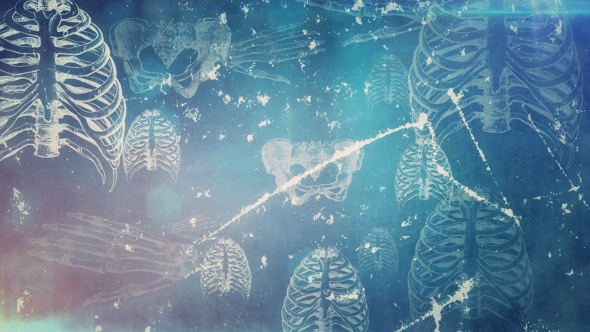 Bones Background 3 in 1 alt