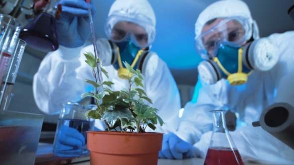 People Dripping Chemical in Plant