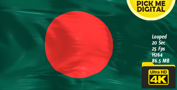 Bangladesh Flag 4K