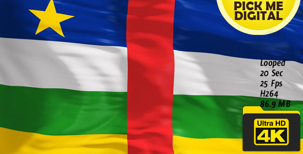 Central African Republic Flag 4K