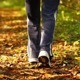 Walking On Dry Leaves
