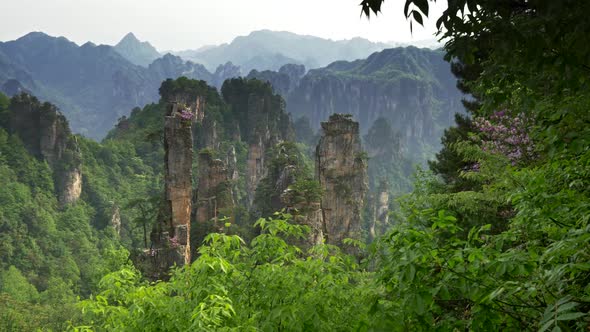 Panning Shot of Cliffs in Wulingyuan Scenic and Historical Site in Zhangjiajie, Hunan, China