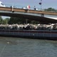 Barge with Metal Scrap - VideoHive Item for Sale
