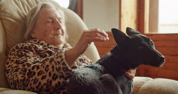 an Old Woman Strokes a Pet a Young Black Dog on the Head Sharing Love and Warmth