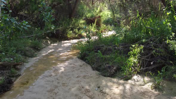 Rainwater washes across a sandy hiking trail or riverbed in the wilderness near Alicante, Spain - lo