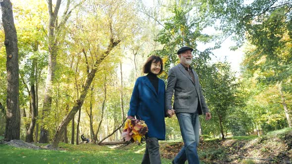 Walk in the Park of Cheerful Elderly Couple Holding the Hands of Bearded Husband and Wife with
