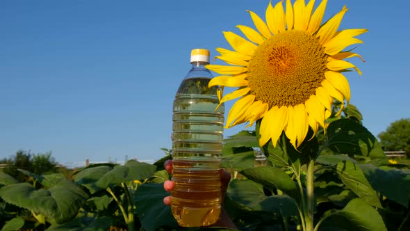 Composition with Sunflower Oil on a Background of Blue Sky