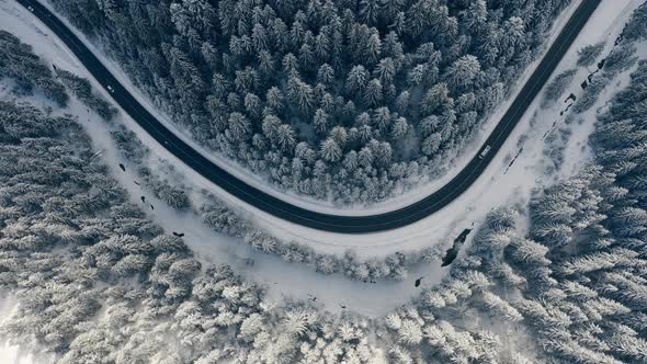 Aerial Winding Road in Winter