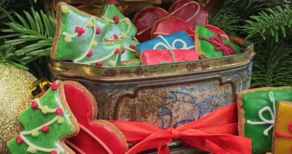 Decorated gingerbread and spruce. Gingerbread cookies for Christmas in box.