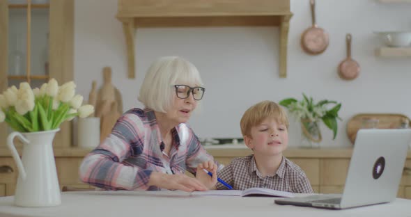 60s Grandmother Making Online Homework with Preschool Grandson at Home, Senior Woman in Glasses 