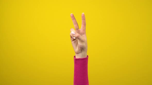 The Female Hand Shows the Sign of Peace or Victory. Studio Photography on an Isolated Yellow