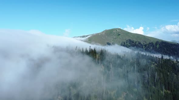 Cloud and forest aerial view