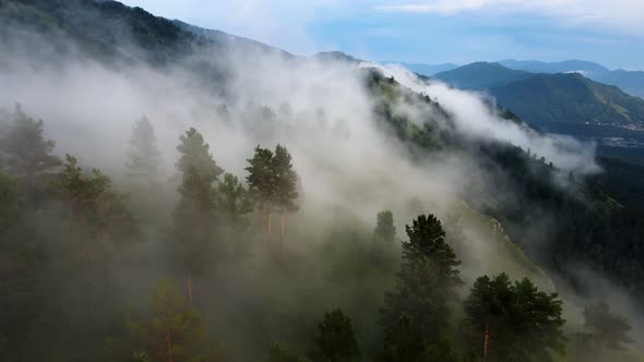 Mountain Fog in the Early Morning