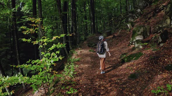 Active Healthy Hipster Girl Hiking in Forest. Aerial