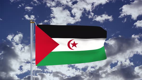 Western Sahara Flag Waving 4k